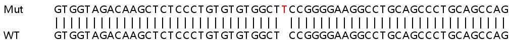 Sanger Sequencing - Human TREX1 knockout A549 cell line (AB266927), expandable thumbnail