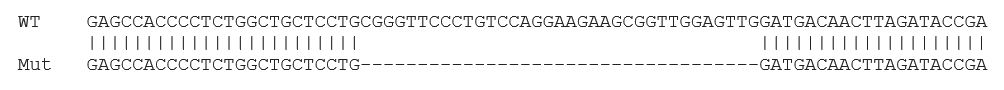 Sanger Sequencing - Human TRIB3 knockout HCT116 cell line (AB273718), expandable thumbnail
