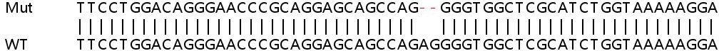 Sanger Sequencing - Human TRIB3 knockout HeLa cell line (AB264792), expandable thumbnail