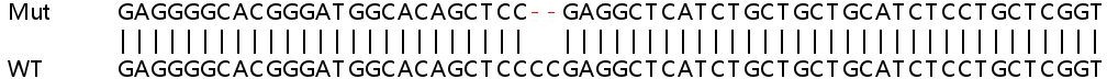 Human TRIM14 knockout A549 cell line