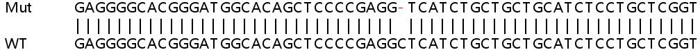 Sanger Sequencing - Human TRIM14 knockout A549 cell line (AB267176)