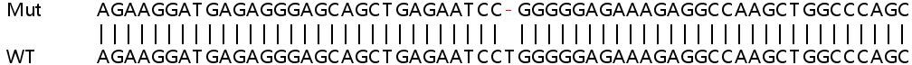 Sanger Sequencing - Human TRIM21 (SS-A) knockout A549 cell line (AB267024), expandable thumbnail