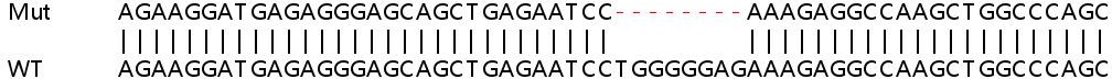 Sanger Sequencing - Human TRIM21 (SS-A) knockout A549 cell line (AB267024), expandable thumbnail