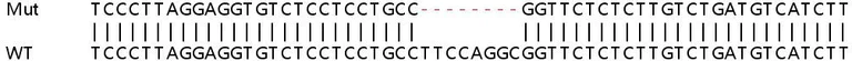 Sanger Sequencing - Human TRIM22 knockout A549 cell line (AB266996)
