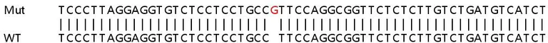 Sanger Sequencing - Human TRIM22 knockout A549 cell line (AB266996)