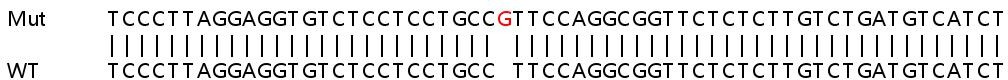 Sanger Sequencing - Human TRIM22 knockout A549 cell lysate (AB259206)