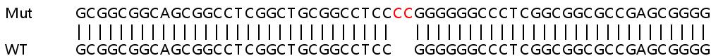 Sanger Sequencing - Human TRIM24 knockout HeLa cell lysate (AB258246), expandable thumbnail