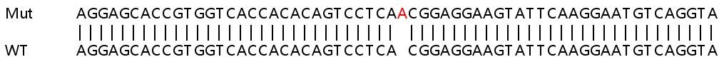 Sanger Sequencing - Human TRIM34 (RNF21/IFP1) knockout A549 cell lysate (AB258247), expandable thumbnail