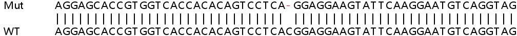 Sanger Sequencing - Human TRIM34 (RNF21/IFP1) knockout A549 cell lysate (AB258247), expandable thumbnail