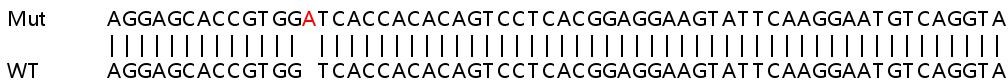 Sanger Sequencing - Human TRIM34 (RNF21/IFP1) knockout A549 cell lysate (AB258248)
