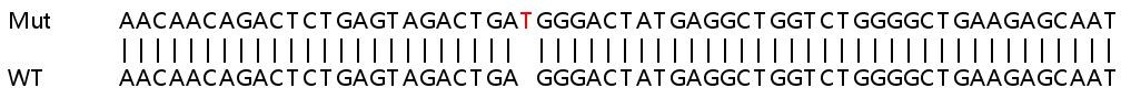 Sanger Sequencing - Human TRIM38 knockout A549 cell lysate (AB259208), expandable thumbnail