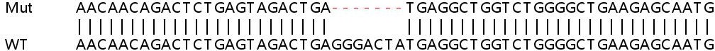 Sanger Sequencing - Human TRIM38 knockout A549 cell lysate (AB259208), expandable thumbnail