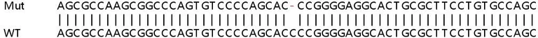 Sanger Sequencing - Human TRIM56 knockout A549 cell lysate (AB258250)
