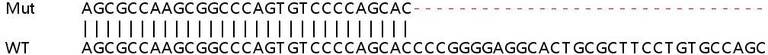 Sanger Sequencing - Human TRIM56 knockout A549 cell lysate (AB258250)