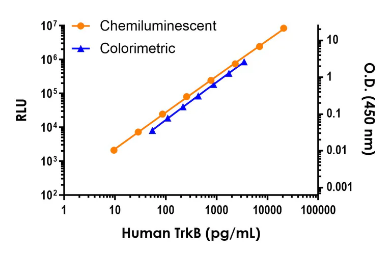 Sandwich ELISA - Human TrkB ELISA Kit, Chemiluminescent (AB325631)