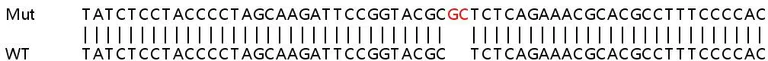 Sanger Sequencing - Human TROAP knockout HEK-293T cell lysate (AB259211)