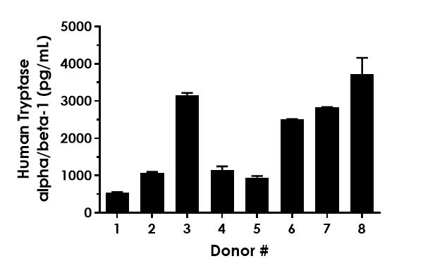 Sandwich ELISA - Human Tryptase alpha/beta-1 (TPSAB1) ELISA Kit (AB323931), expandable thumbnail