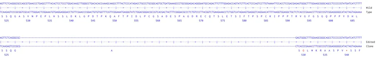 Next Generation Sequencing - Human TSC1 knockout MCF7 cell line (AB286332)