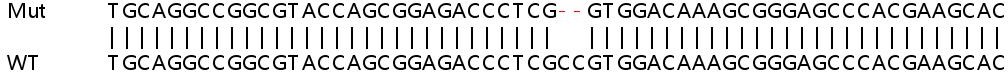 Sanger Sequencing - Human TSPO (PBR) knockout HeLa cell lysate (AB257066), expandable thumbnail