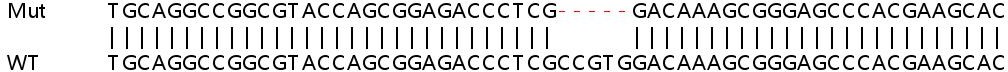 Sanger Sequencing - Human TSPO (PBR) knockout HeLa cell lysate (AB257066), expandable thumbnail