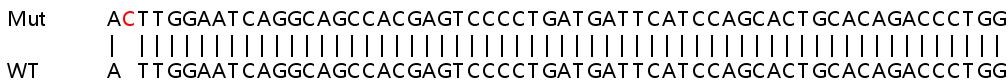 Sanger Sequencing - Human TSSC1 knockout HeLa cell line (AB265955), expandable thumbnail
