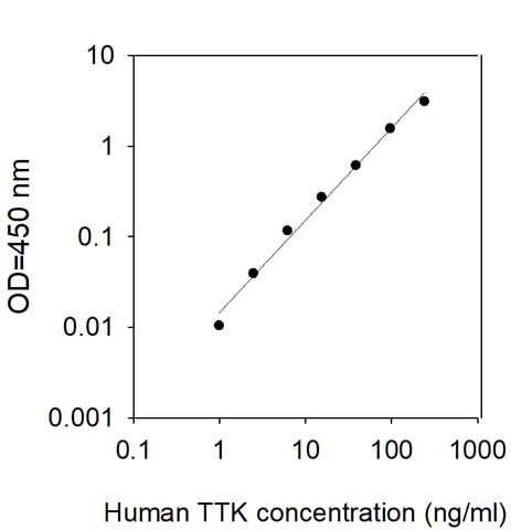 Sandwich ELISA - Human TTK/Mps1 ELISA Kit (AB314716), expandable thumbnail