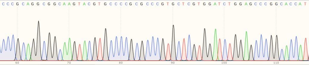 Sanger Sequencing - Human TUBB4B knockout HEK-293T cell line (AB266087), expandable thumbnail