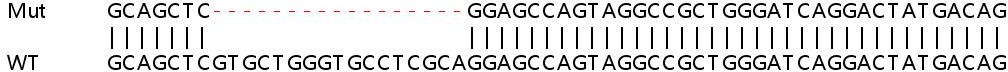 Sanger Sequencing - Human TWF2 knockout HEK-293T cell lysate (AB259217), expandable thumbnail