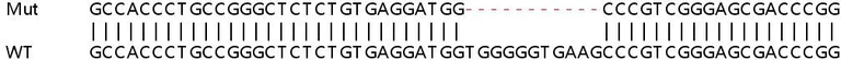 Sanger Sequencing - Human TXNL1 knockout HEK-293T cell lysate (AB258258)