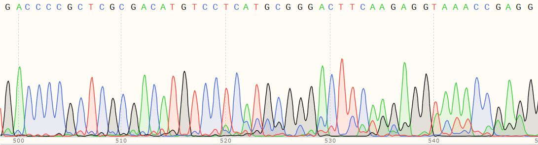 Sanger Sequencing - Human UBE2A knockout HEK-293T cell line (AB266322), expandable thumbnail