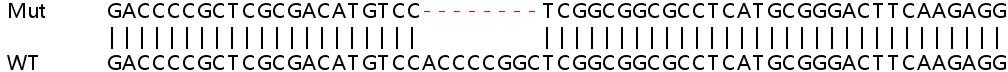 Sanger Sequencing - Human UBE2A knockout HEK-293T cell lysate (AB263405), expandable thumbnail