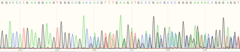 Sanger Sequencing - Human UBE2E1 (UBCH6) knockout HEK-293T cell line (AB266346)