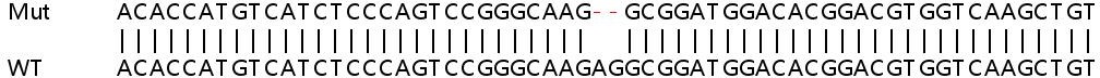 Sanger Sequencing - Human UBE2H knockout HeLa cell line (AB265455), expandable thumbnail
