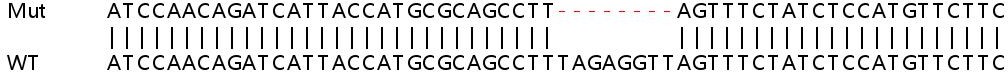 Sanger Sequencing - Human UBE2J1 (UBC6e) knockout HeLa cell line (AB265491), expandable thumbnail