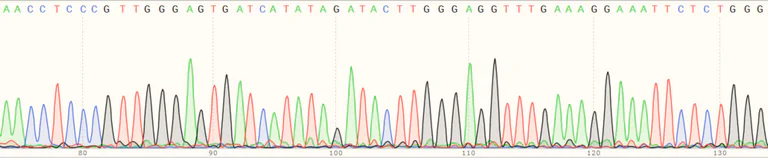 Sanger Sequencing - Human UBE2J2 knockout HEK-293T cell line (AB266264)