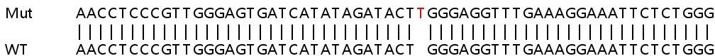 Sanger Sequencing - Human UBE2J2 knockout HEK-293T cell lysate (AB259224), expandable thumbnail