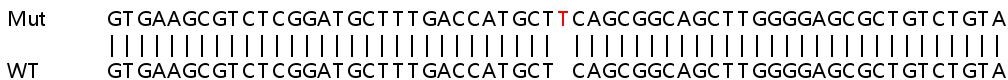 Sanger Sequencing - Human UBE2O knockout HeLa cell line (AB264948), expandable thumbnail