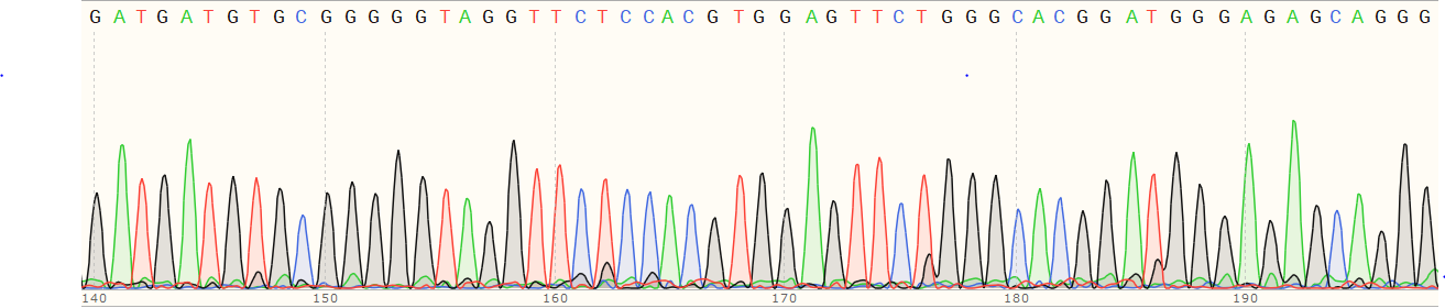 Sanger Sequencing - Human UBE2S knockout HEK-293T cell line (AB266375)