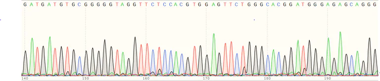 Sanger Sequencing - Human UBE2S knockout HEK-293T cell line (AB266375)