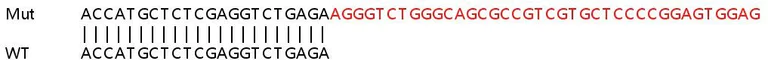 Sanger Sequencing - Human UBE3B knockout HeLa cell line (AB266030)