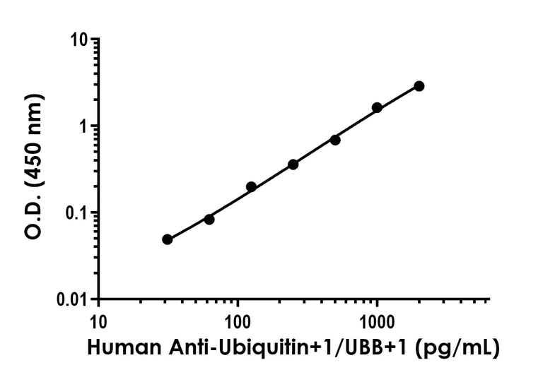 Sandwich ELISA - Human Anti-Ubiquitin+1/UBB+1 Antibody Pair - BSA and Azide free (AB253843)