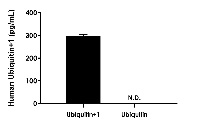 Sandwich ELISA - Human Ubiquitin+1 (UBB+1) ELISA Kit (AB303754)