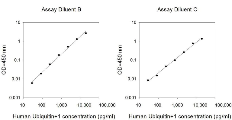Sandwich ELISA - Human Ubiquitin+1/UBB+1 ELISA Kit (AB314717)