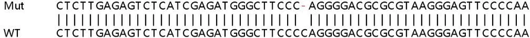 Sanger Sequencing - Human UBXN1 knockout HEK-293T cell lysate (AB258268)