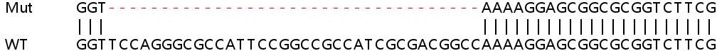 Sanger Sequencing - Human UBXN4 (Erasin) knockout HeLa cell lysate (AB263406)