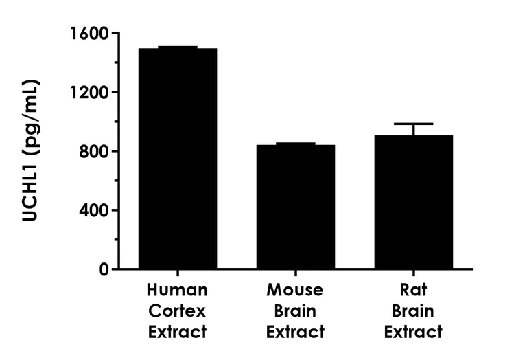 Sandwich ELISA - Human UCHL1 ELISA Kit- Intracellular (AB323603)