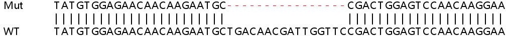 Sanger Sequencing - Human UFC1 knockout HEK-293T cell line (AB266814), expandable thumbnail
