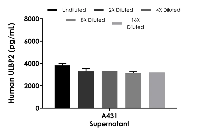 Sandwich ELISA - Human ULBP2 ELISA Kit (AB288172)