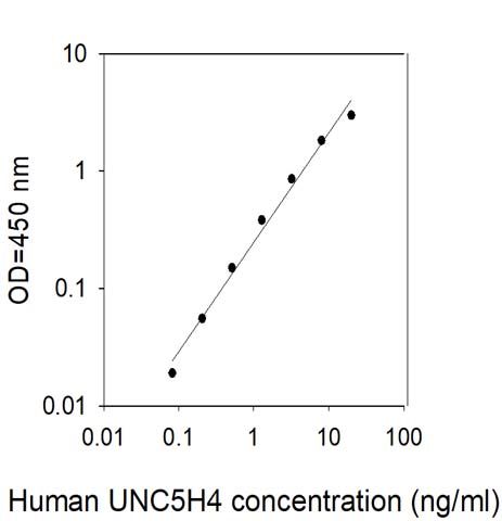 Sandwich ELISA - Human UNC5D ELISA Kit (AB314719)