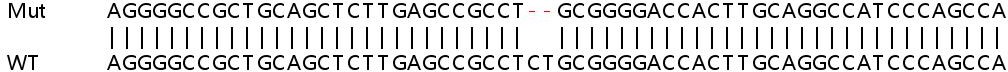 Sanger Sequencing - Human UNG knockout HeLa cell lysate (AB258272), expandable thumbnail